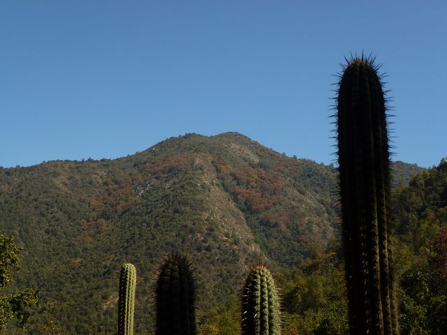 La Campana Nationalpark La Campana National Park Fahrt Torres del Paine